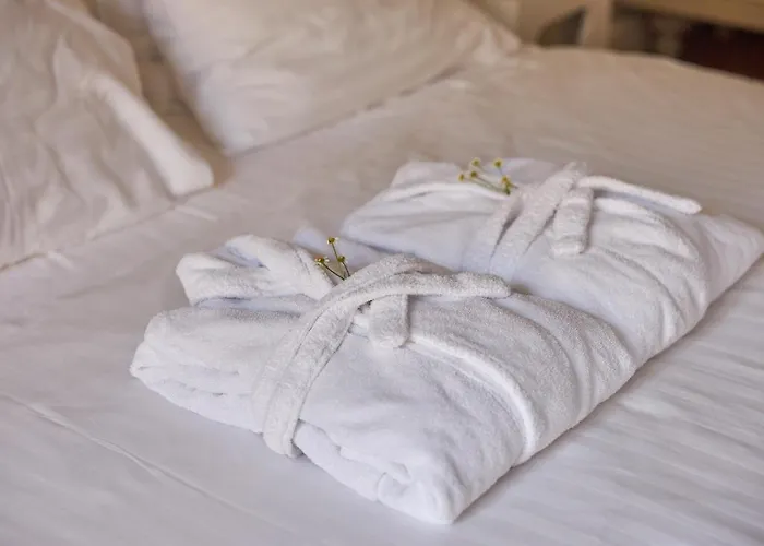 拉顿达中心酒店