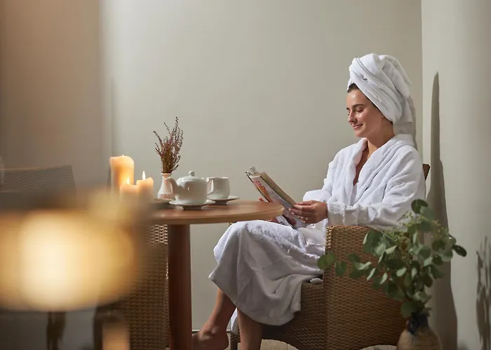 拉顿达中心酒店 4* 维尔纽斯