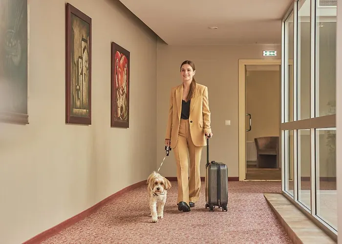 拉顿达中心酒店 4*